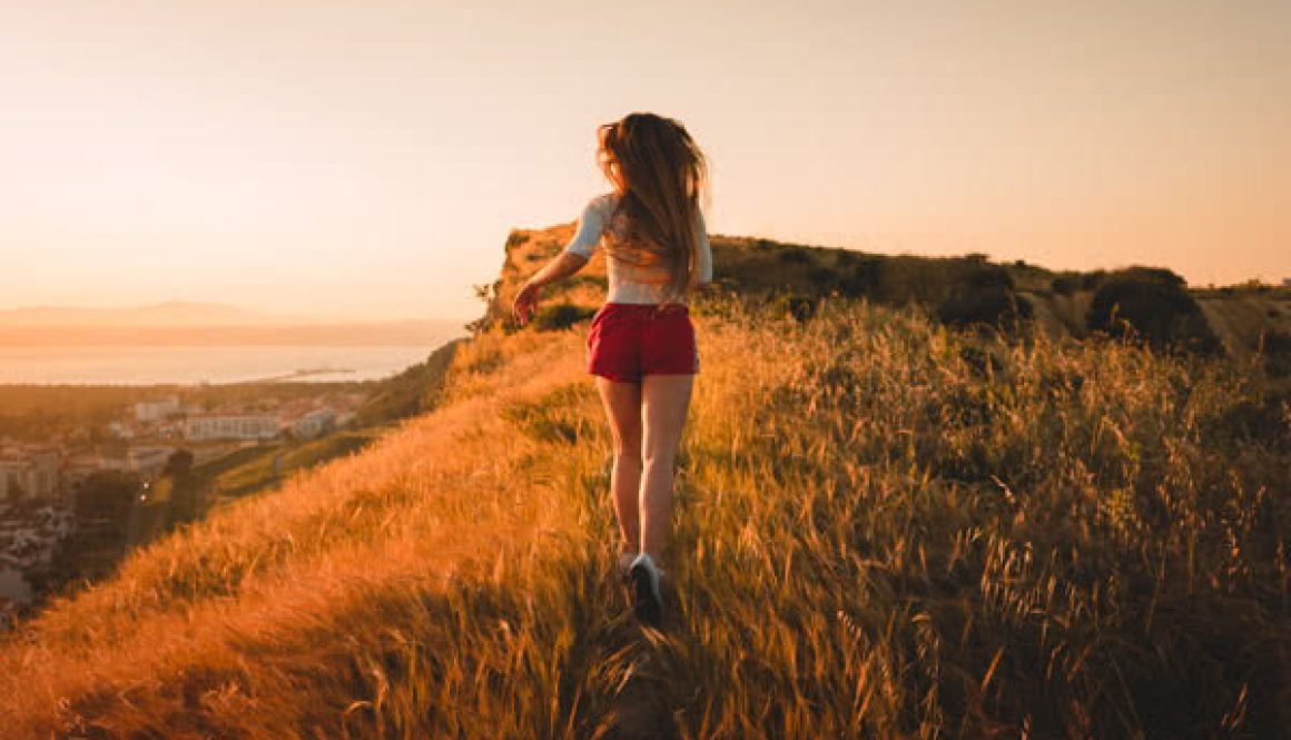 wild-run