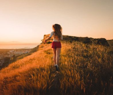 wild-run
